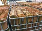 Boomse dakpannen / boomse pannen rood (10.000)