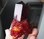 Pruskite Amazone dieprood kristal op matrix - geen