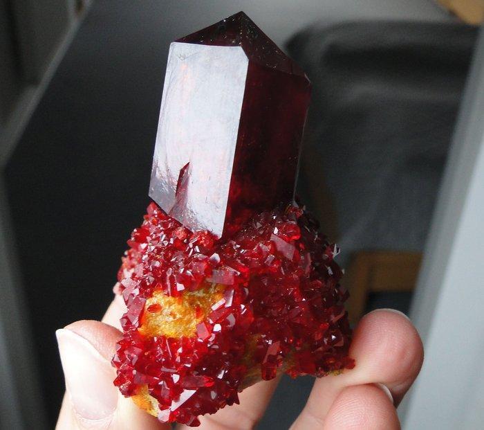 Pruskite Amazone dieprood kristal op matrix - geen, Collections, Minéraux & Fossiles