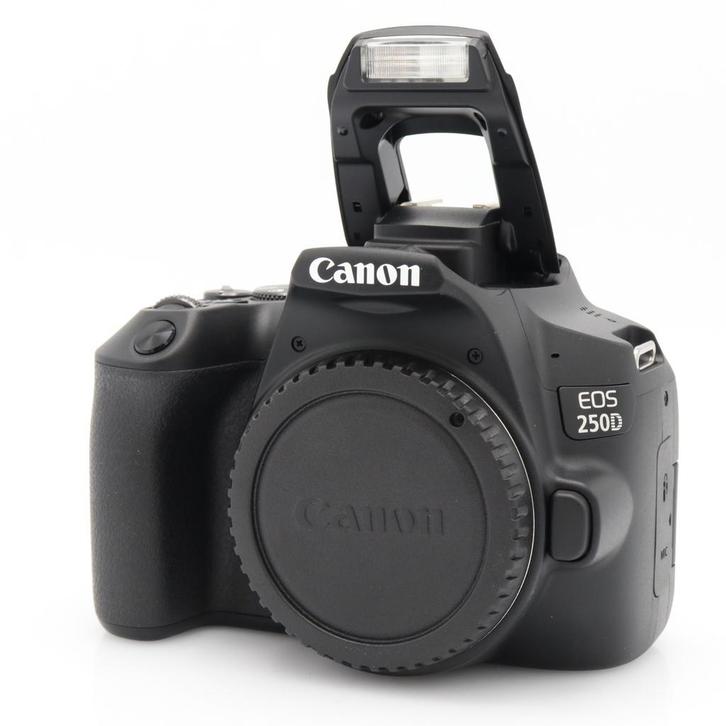 Canon EOS 250D body | Tweedehands, Audio, Tv en Foto, Fotocamera's Digitaal, Zo goed als nieuw, Canon, Verzenden