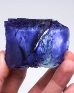 Deep Blue en Purple Fluorite kubus contacteerde in de rug -