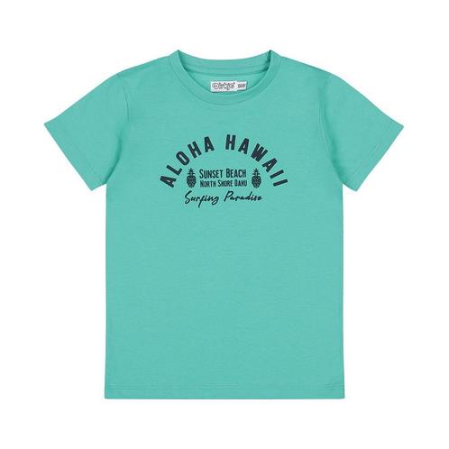 Dirkje - T-Shirt Aloha Hawaii Aqua Green, Kinderen en Baby's, Kinderkleding | Overige, Jongen, Nieuw, Ophalen of Verzenden