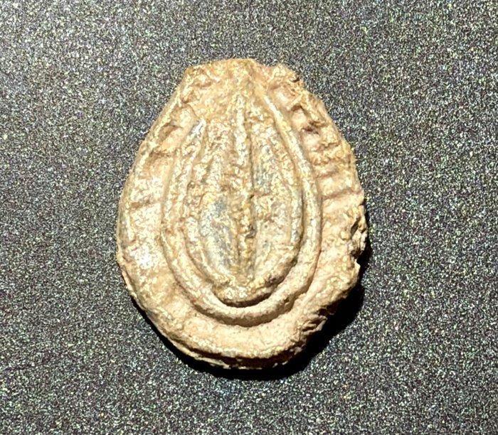 Médiéval, époque des Croisés Plomb Assiette ovale avec une, Antiquités & Art, Antiquités | Autres Antiquités