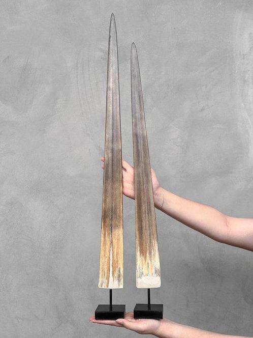 GEEN MINIMUMVERKOOPPRIJS - Een paar grote zwaardvis-rostrums, Antiek en Kunst, Kunst | Designobjecten