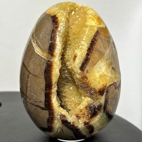 Septaria Wild Yellow Crystals Fine Large Wild Septaria, Verzamelen, Mineralen en Fossielen