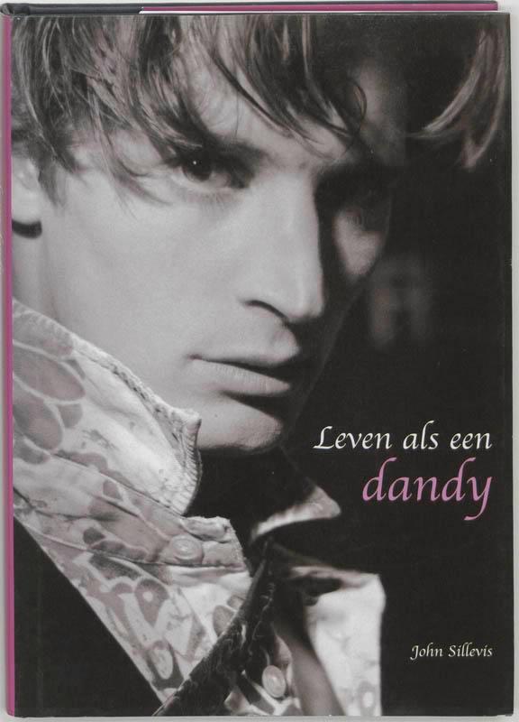 Leven als een dandy 9789058973757 J. Sillevis, Boeken, Hobby en Vrije tijd, Gelezen, Verzenden