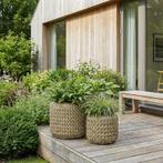 Set van 2 lage plantenpotten - naturel - Ø 33 x 30 cm / Ø 45, Verzenden