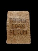 sculptuur, Stemma Tempus Edax Rerum - 18 cm - mineraal