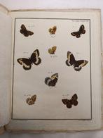 J.J. Ernst, R.P. Engramelle - Papillons dEurope, peints