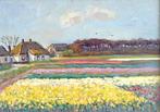Hans Mijnsbergen (1945) - Kleurrijk bloembollenveld, Antiek en Kunst