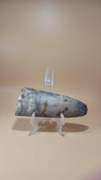 Neolithisch Grote prehistorische vuursteenwerktuig met, Antiek en Kunst