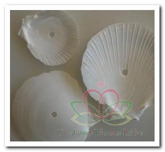 Amusium Japonicum Geboord Hole 4 mm / kg Geboorde schelpen, Hobby en Vrije tijd, Knutselen, Nieuw