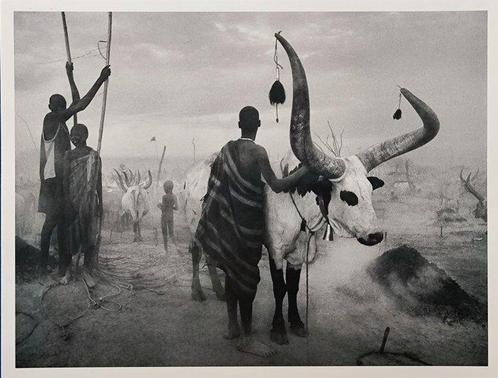 Sebastião Salgado - Kei, Southern Sudan, 2006, Antiek en Kunst, Kunst | Schilderijen | Modern