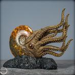 Natuurlijke ammoniet verbonden met meesterschap Kunst-, Verzamelen