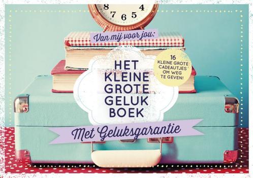 Het kleine groot geluk boek 9789461091437 Madelijne Kool, Boeken, Stripverhalen, Zo goed als nieuw, Verzenden