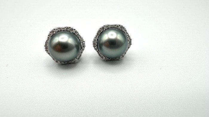 Oorbellen - 14 karaat Witgoud Parel, Handtassen en Accessoires, Oorbellen