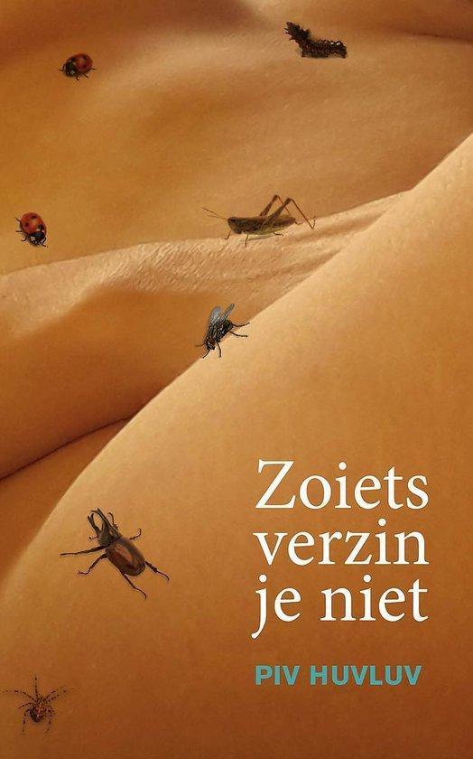 Zoiets verzin je niet! 9789464332902 Piv Huvluv, Livres, BD, Envoi