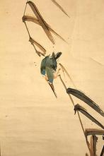 Kacho-ga  (King fisher) - With signature and seal  Fuuko, Antiek en Kunst