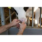 Anti-drinkbeugel suckstop muller geel in kunststof voor jong, Dieren en Toebehoren