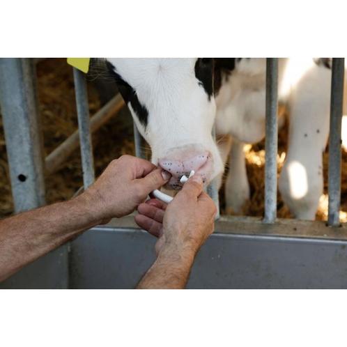 Anti-drinkbeugel suckstop muller geel in kunststof voor jong, Dieren en Toebehoren, Stalling en Weidegang