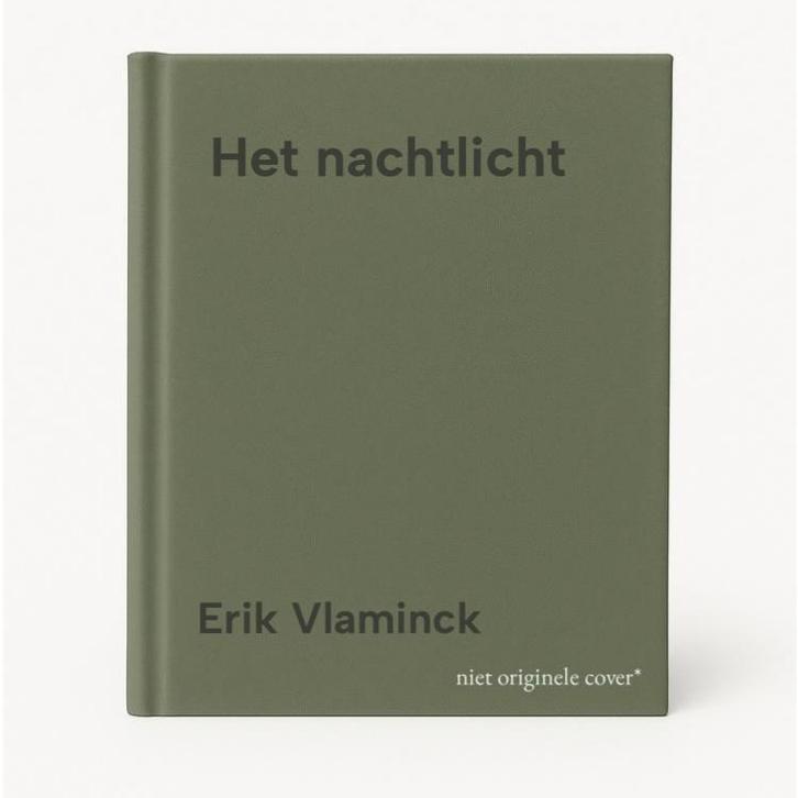 Het nachtlicht 9789493456006 Erik Vlaminck, Boeken, Romans, Gelezen, Verzenden