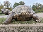 Beeld, sculpture large turtle 72 cm length in bronze color -
