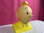Tintin - Patrick Regout pour Pixi - Buste Tintin - 541/574 -, Nieuw