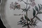 Villeroy & Boch - Botanica - Taartschaal (3) - Botanica -