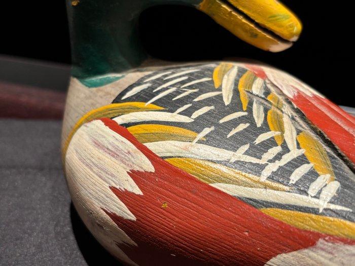 Lokeend - Germano Reale Europa, ca. 1940–1950 con Collo, Antiek en Kunst, Curiosa en Brocante