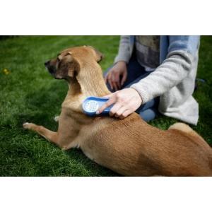 Magicbrush dog blue sky - kerbl, Animaux & Accessoires, Accessoires pour chiens