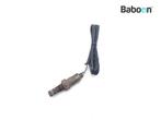 Lambda Sonde Triumph Daytona 675 2006-2008 (VIN<381274), Motoren, Verzenden, Gebruikt