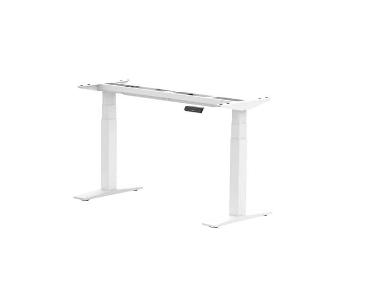 FLEXISPOT Elite Zit-sta Bureau met Ultra-Lange Levensduur (E, Huis en Inrichting, Bureaus, Nieuw, Verzenden