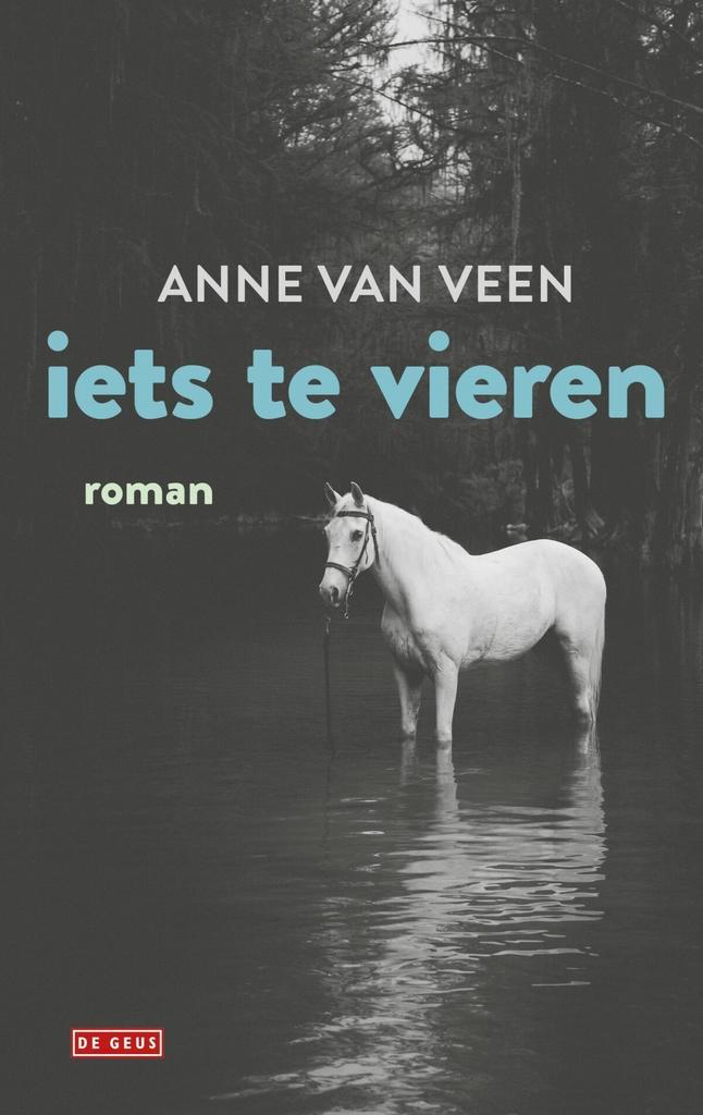 Iets te vieren (9789044542141, Anne Van Veen), Boeken, Romans, Nieuw, Verzenden