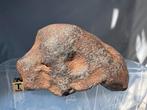 Prachtige georiënteerde meteoriet chondriet H5 - NWA 16708 -