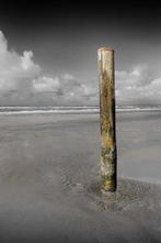 Wiepke Folkerts - Alone & Await