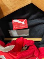 Ferrari - Formule 1 - Teamkleding, Verzamelen, Nieuw