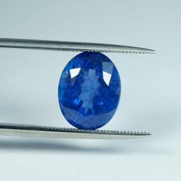 Blauw, Violet Tanzaniet - 6.55 ct - International