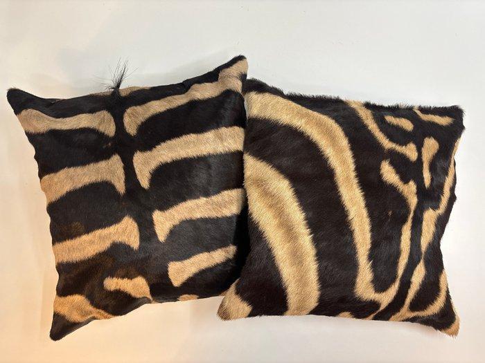 Zebra Balg - Equus quagga - 40 cm - 40 cm - 1 cm -, Antiquités & Art, Curiosités & Brocante