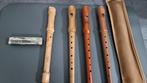 MS,Hohner, brundhammer, alt blokfluit aura made in Holland -, Muziek en Instrumenten, Nieuw