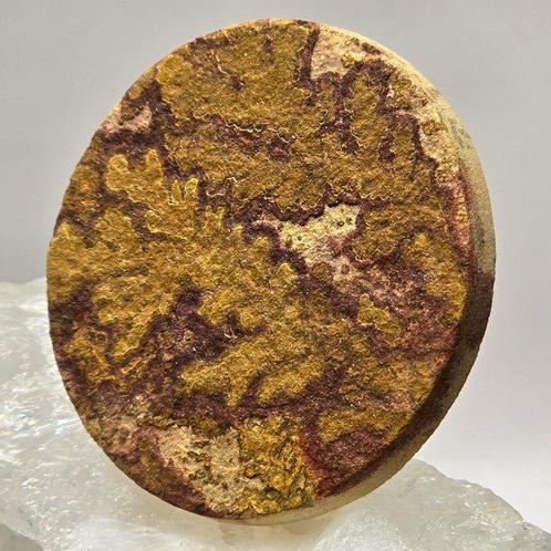 Disque lithographique en grès naturel ø 6 cm- 42 g - (1), Verzamelen, Mineralen en Fossielen