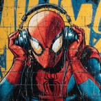 Eric Brumette - DJ SPIDER-MAN SAVED MY LIFE - Toile L, Antiek en Kunst