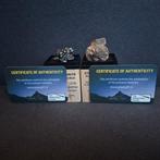 Meteorieten collectie met 2 meteorieten op prachtige, Verzamelen