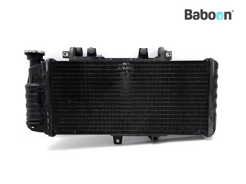 Radiateur BMW F 800 GS 2008-2012 (F800GS 08) (7699226), Motoren, Onderdelen | BMW, Gebruikt, Verzenden