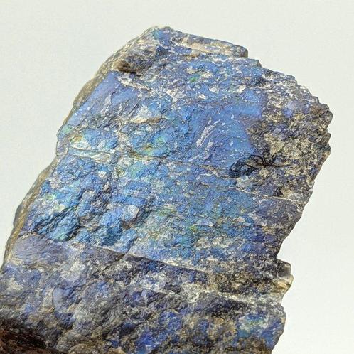 Labradorite bleu électrique iridescente brute ! Canada Forme, Verzamelen, Mineralen en Fossielen