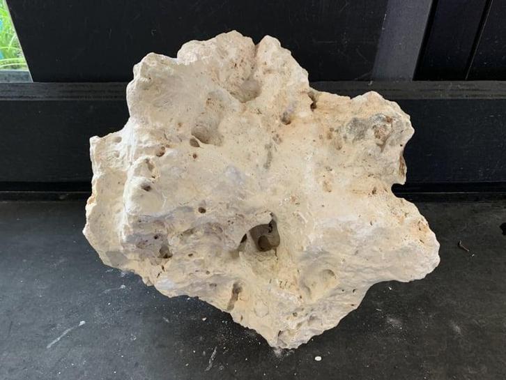 White Moonstone Selected MS61  15,6KG / 33x30x28cm, Dieren en Toebehoren, Vissen | Aquaria en Toebehoren, Plant(en), Steen of Hout
