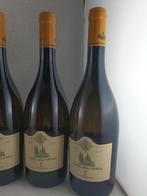 2024 Castello della Sala Conte della Vipera - Umbrië - 6, Nieuw