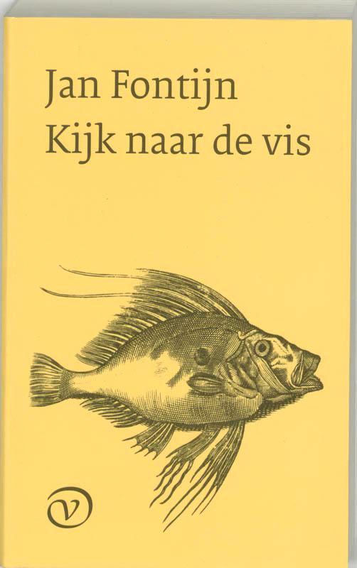 Kijk naar de vis 9789028209978 J. Fontijn, Boeken, Literatuur, Zo goed als nieuw, Verzenden