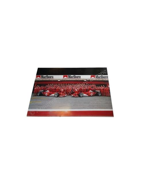 2003 FERRARI F1 TEAM DEALER POSTER 1954/03, Boeken, Auto's | Folders en Tijdschriften