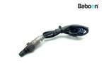 Capteur doxygène Honda CRF 1100 2021-2023 Africa Twin, Motoren, Verzenden, Nieuw