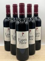 2016 Esprit de Pavie - Bordeaux - 6 Flessen (0.75 liter), Verzamelen, Nieuw